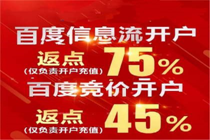 知名SEM公司案例分析：优化策略与成果